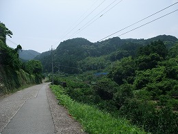 DSCF4850.jpg