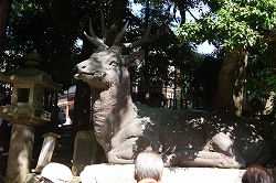 画像 022.jpg