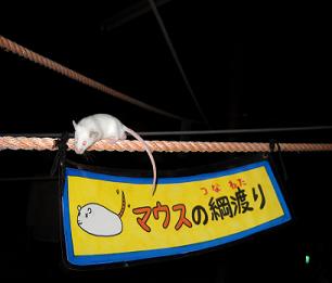 DSCN0282.JPG