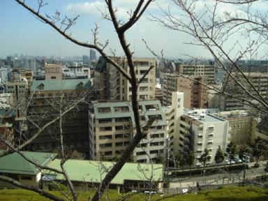 遊歩道から見た町並み