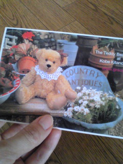 テディベアカード