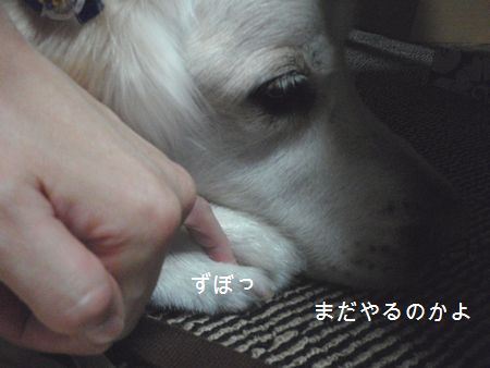 2009年6月30日