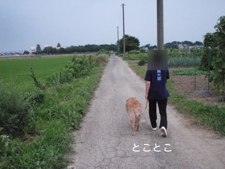 2009年7月16日