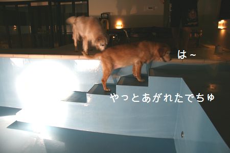 2009年7月4日