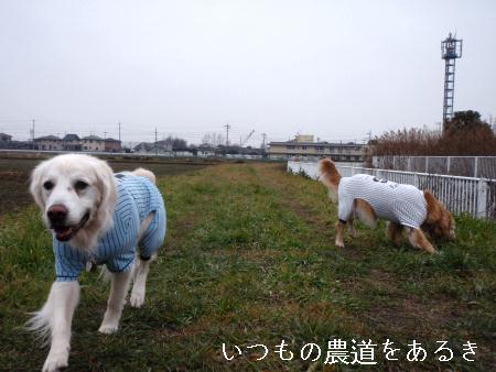 2009年1月22日-3