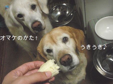 2009年6月19日