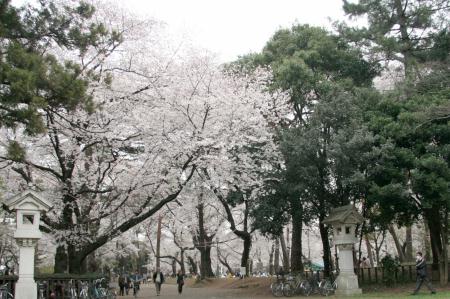 2009年4月4日
