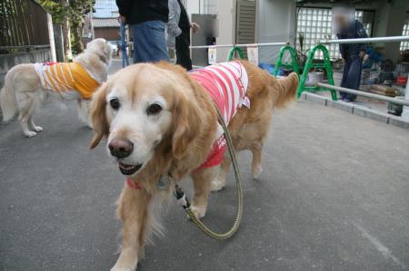 2009年4月4日