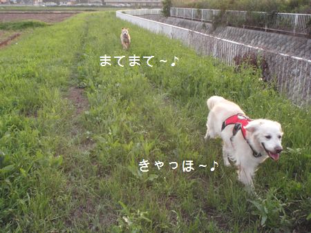 2009年6月24日