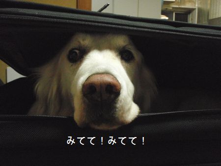 2009年6月12日