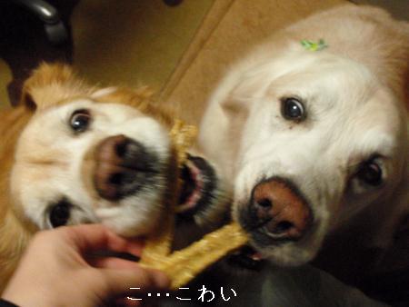 2009年1月20日-7
