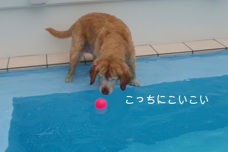 2009年7月19日