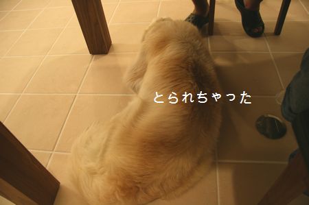 2009年7月5日