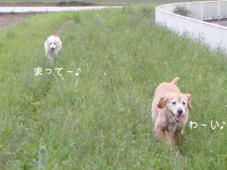 2009年6月26日