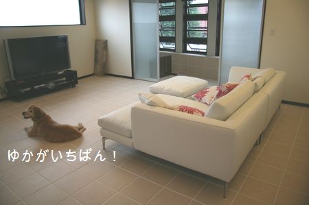 2009年7月5日