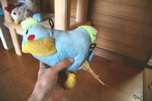 2009年6月2日