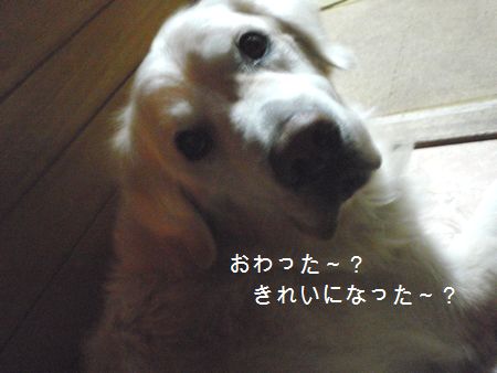 2009年7月10日