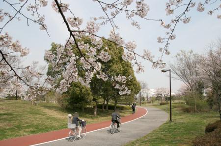 2009年4月8日