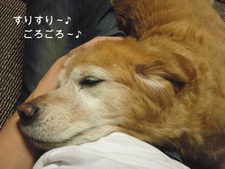 2009年7月28日