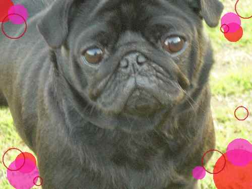 coco8.1.jpg