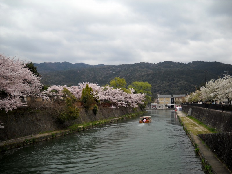 2010年4月9日　東山の桜.jpg