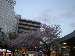 20110409-s