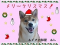 あずきちゃんカード