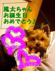 るびぃちゃんから