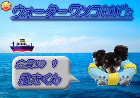 ウウォーターわんこ