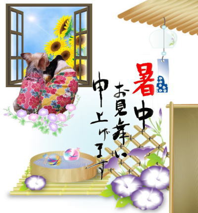 暑中お見舞いmisaさん