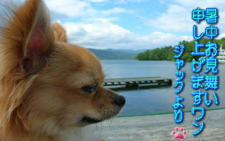 暑中お見舞いりかさん