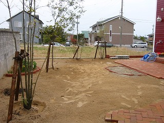 植木1