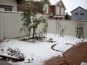 IMGP4599.jpg