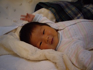 IMGP0082.jpg