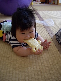 IMGP1395.jpg