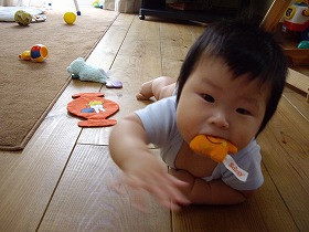 IMGP2404.jpg