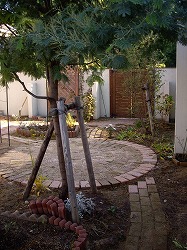 IMGP6868.jpg