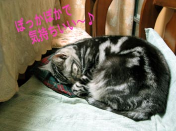 ぬくぬく
