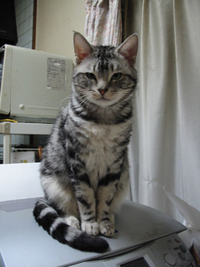 まだ終わらないの？