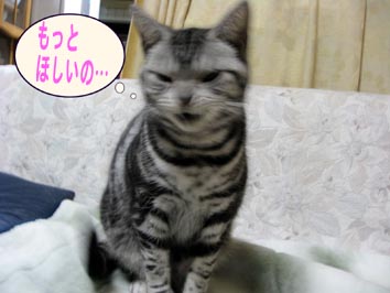 もう ないの。。。