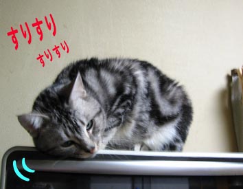 すりすり・・・すりす～り