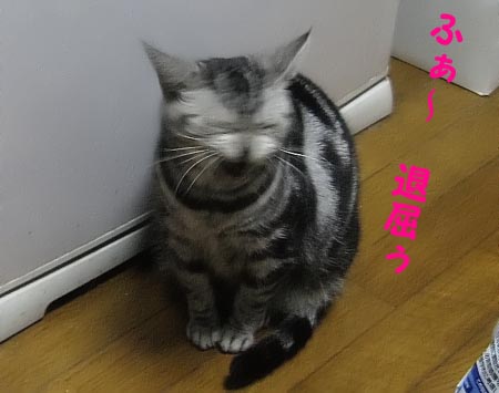 大あくび