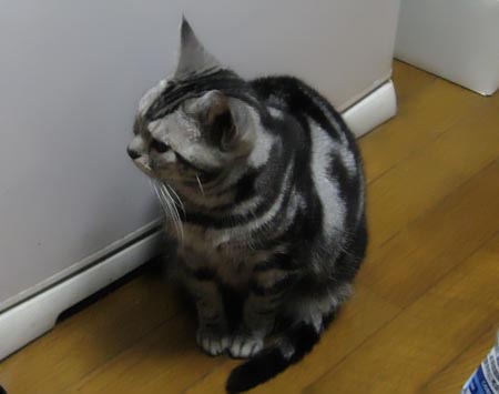 横を向いて待つ
