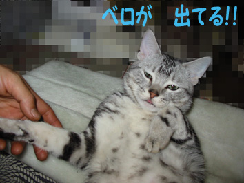 舌が出てます