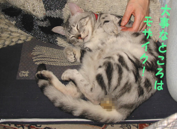 ママにもたれて