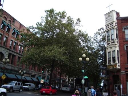 23 Pioneer Square Street