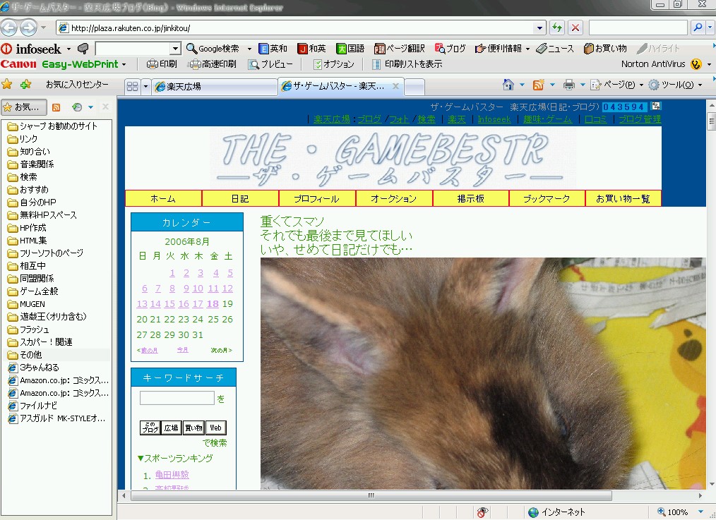 IE7 ２