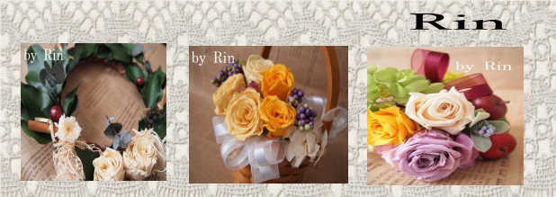Rinさんの作品