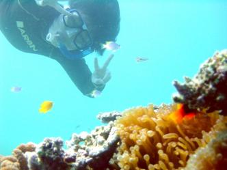 隠れちゃった・・・