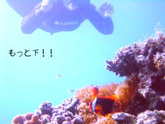 もっと下！